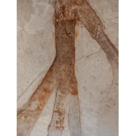 Domus De Armenis *